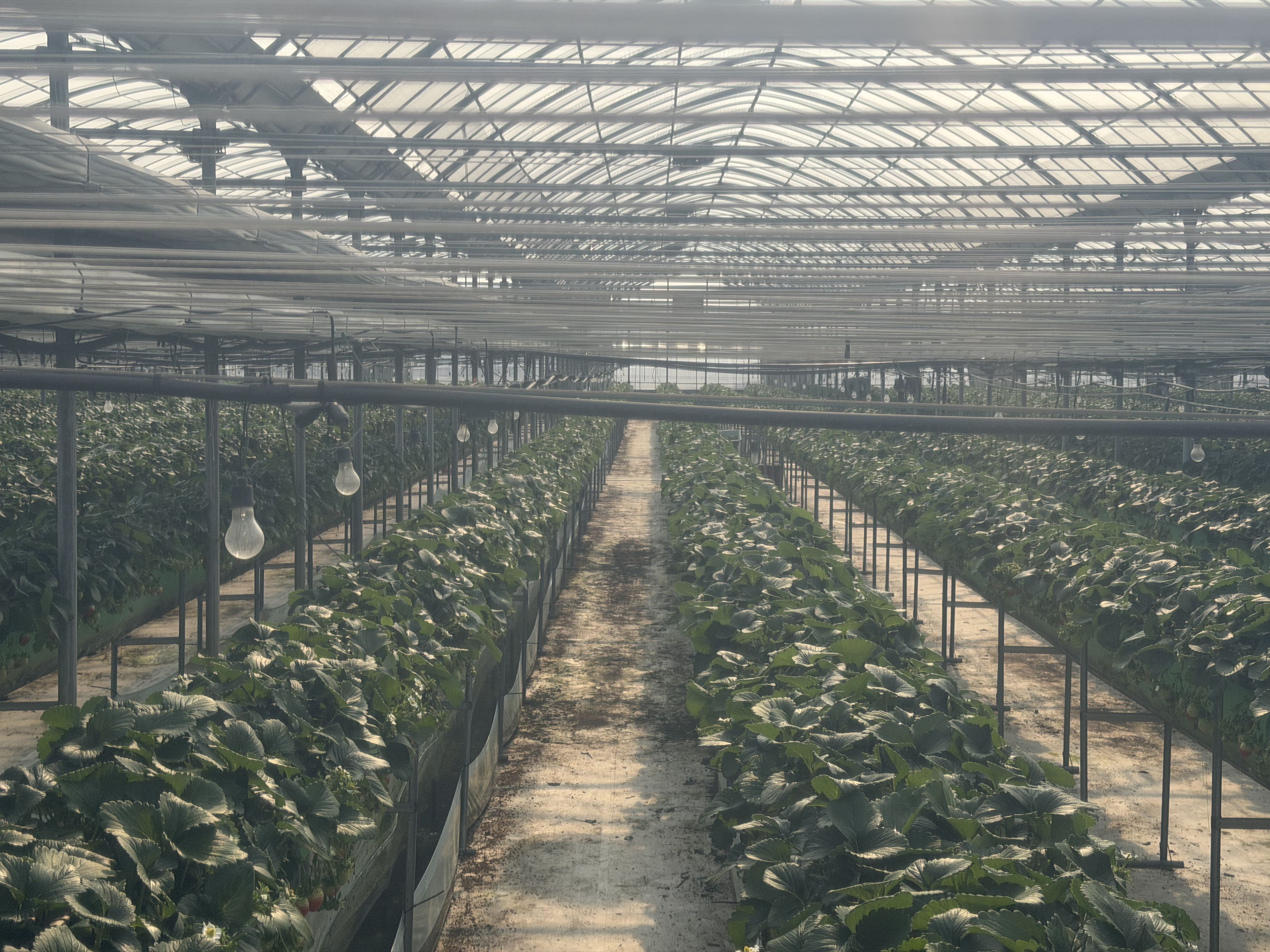 파트너 프로필 이미지