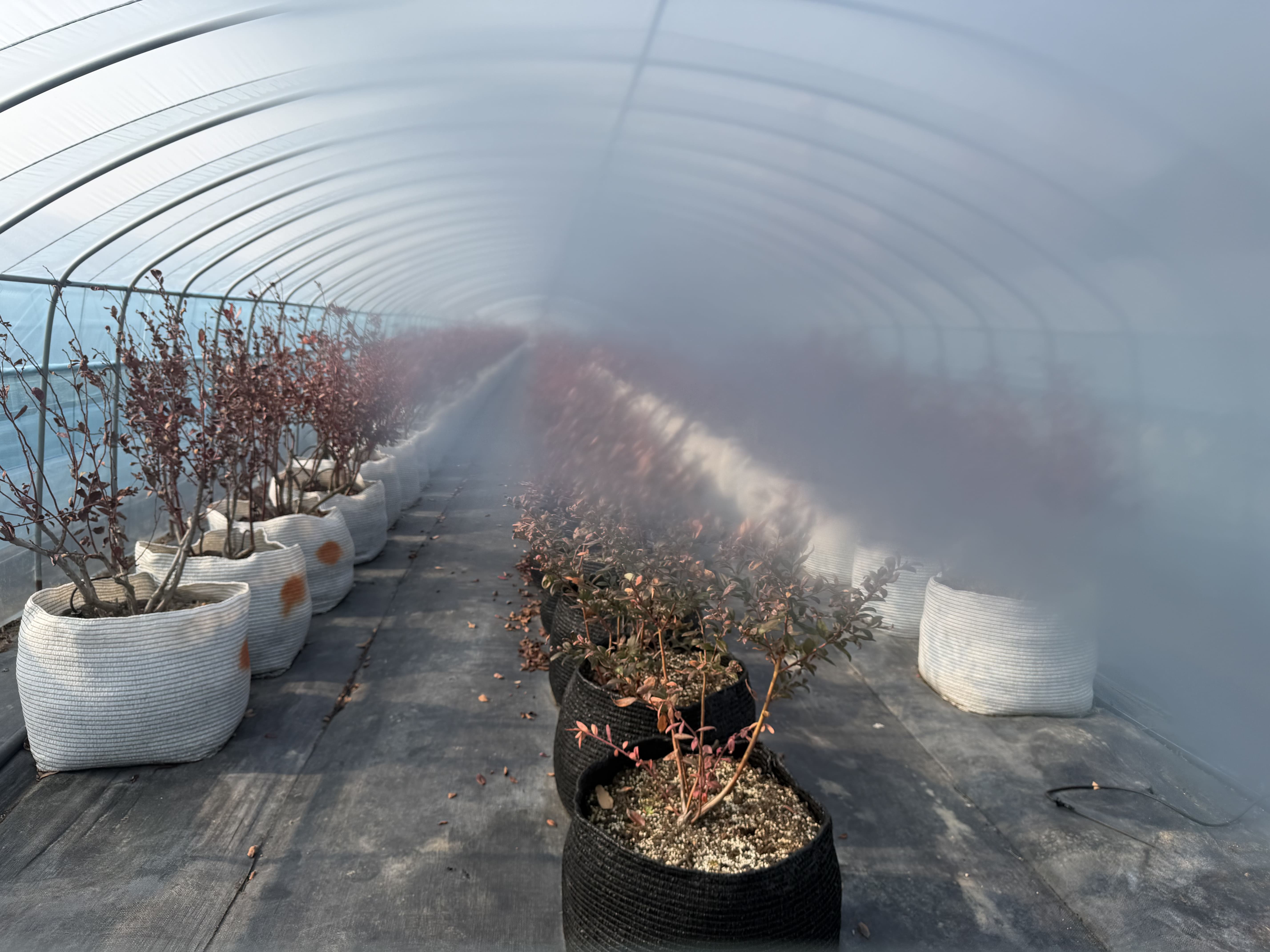 파트너 프로필 이미지